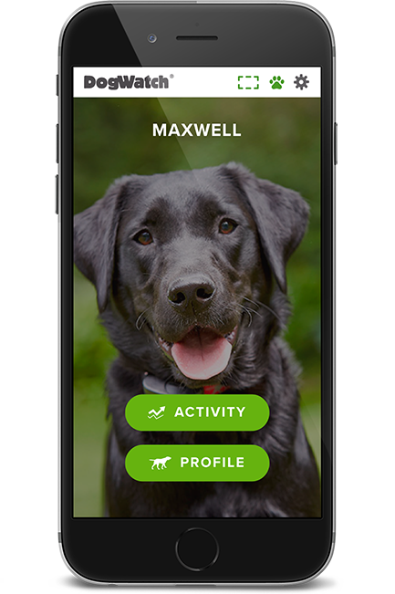 DogWatch of Central PA, Altoona, Pennsylvania | SmartFence WebApp Image