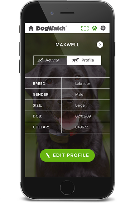 DogWatch of Central PA, Altoona, Pennsylvania | SmartFence WebApp Image